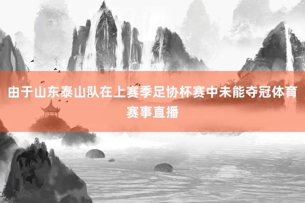 由于山东泰山队在上赛季足协杯赛中未能夺冠体育赛事直播