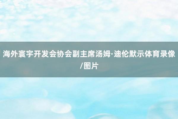 海外寰宇开发会协会副主席汤姆·迪伦默示体育录像/图片