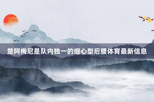 楚阿梅尼是队内独一的细心型后腰体育最新信息