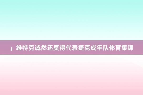 」维特克诚然还莫得代表捷克成年队体育集锦
