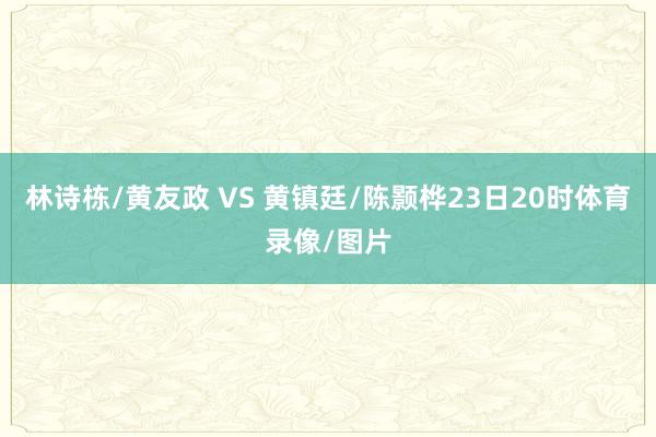 林诗栋/黄友政 VS 黄镇廷/陈颢桦23日20时体育录像/图片