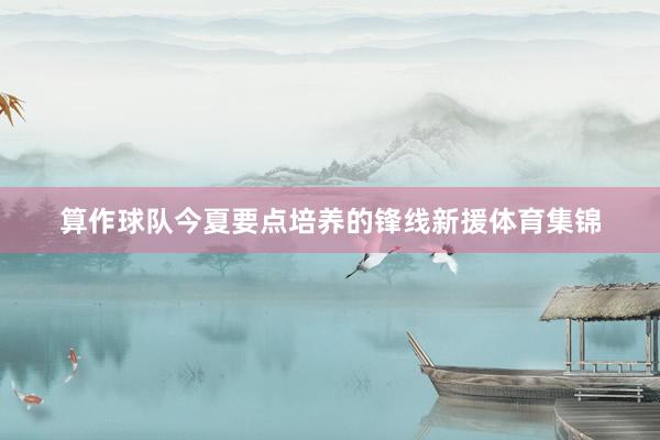 算作球队今夏要点培养的锋线新援体育集锦