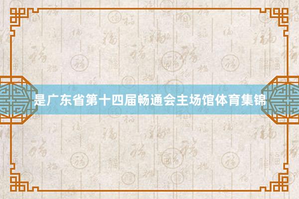 是广东省第十四届畅通会主场馆体育集锦
