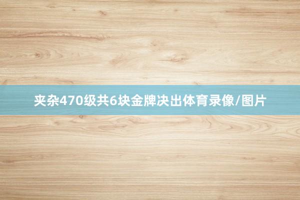 夹杂470级共6块金牌决出体育录像/图片