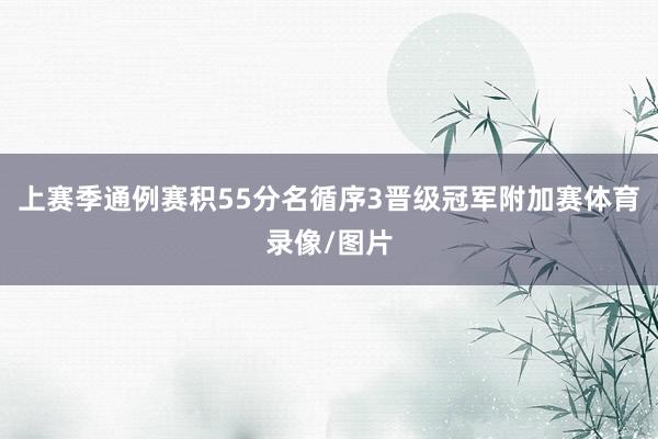 上赛季通例赛积55分名循序3晋级冠军附加赛体育录像/图片