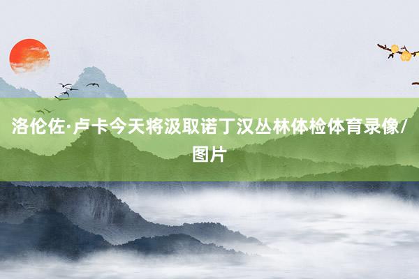 洛伦佐·卢卡今天将汲取诺丁汉丛林体检体育录像/图片