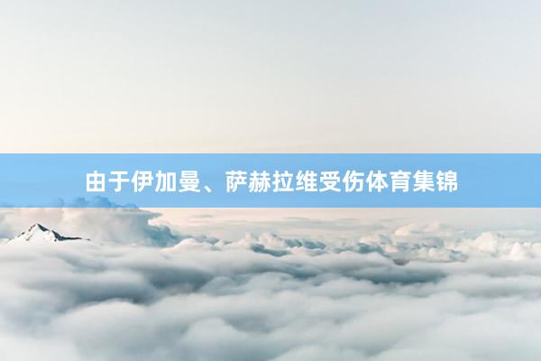 由于伊加曼、萨赫拉维受伤体育集锦