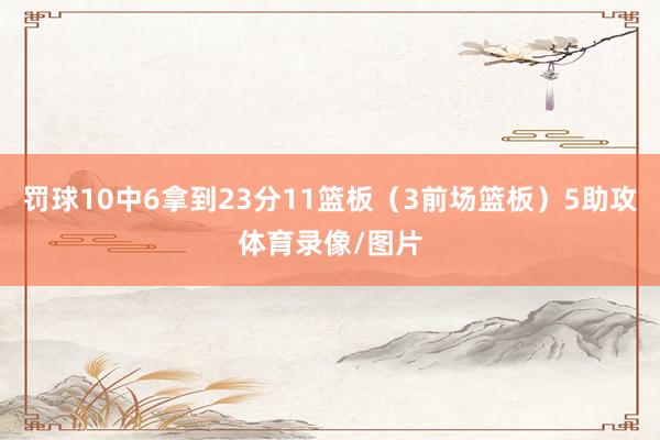 罚球10中6拿到23分11篮板（3前场篮板）5助攻体育录像/图片