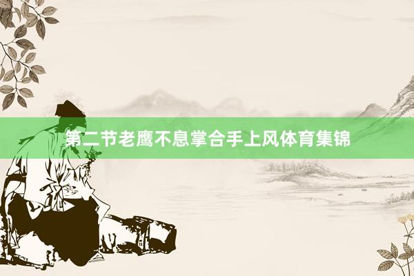 第二节老鹰不息掌合手上风体育集锦