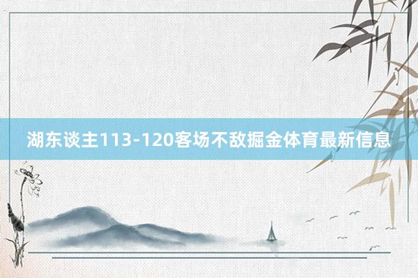 湖东谈主113-120客场不敌掘金体育最新信息