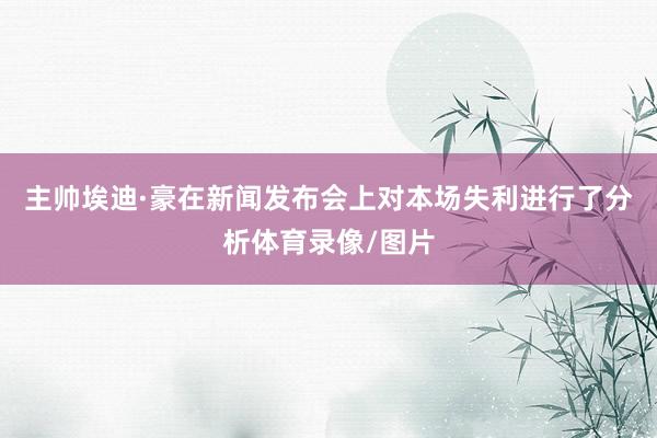 主帅埃迪·豪在新闻发布会上对本场失利进行了分析体育录像/图片