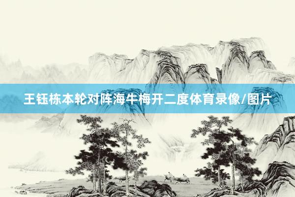 王钰栋本轮对阵海牛梅开二度体育录像/图片