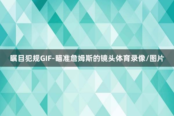 瞩目犯规GIF-瞄准詹姆斯的镜头体育录像/图片