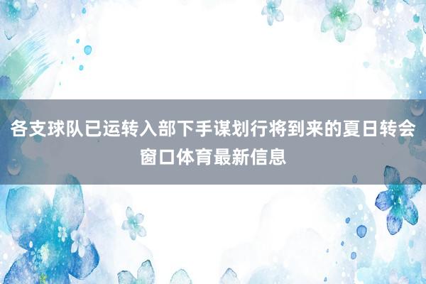 各支球队已运转入部下手谋划行将到来的夏日转会窗口体育最新信息