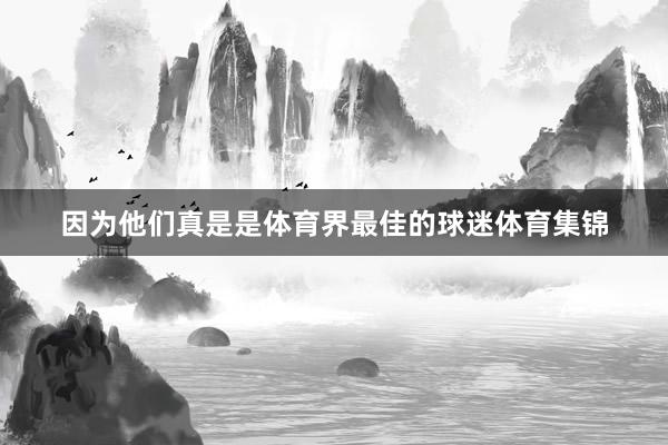 因为他们真是是体育界最佳的球迷体育集锦