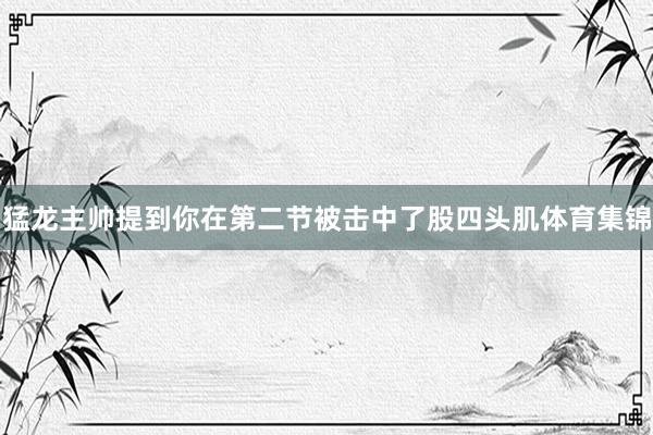 猛龙主帅提到你在第二节被击中了股四头肌体育集锦