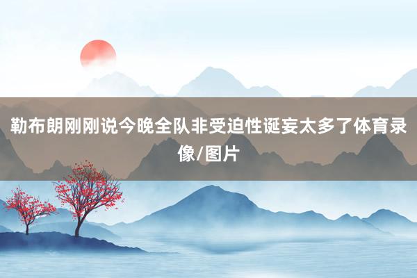 勒布朗刚刚说今晚全队非受迫性诞妄太多了体育录像/图片