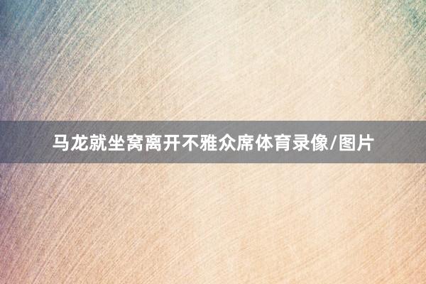 马龙就坐窝离开不雅众席体育录像/图片