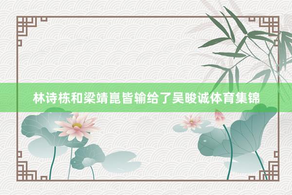 林诗栋和梁靖崑皆输给了吴晙诚体育集锦