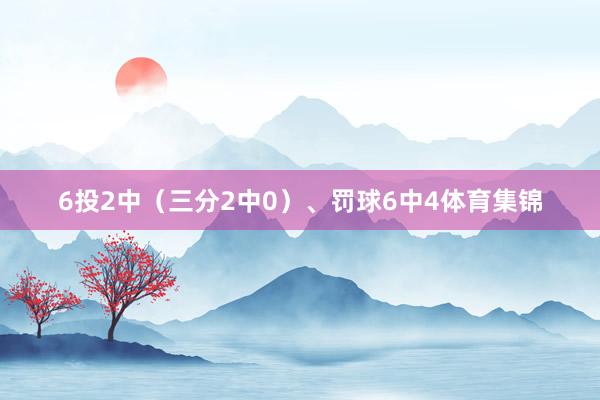 6投2中（三分2中0）、罚球6中4体育集锦