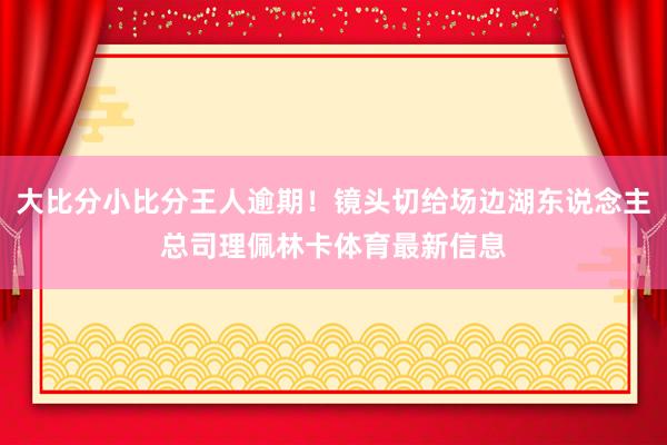 大比分小比分王人逾期！镜头切给场边湖东说念主总司理佩林卡体育最新信息