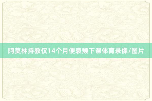阿莫林持教仅14个月便衰颓下课体育录像/图片
