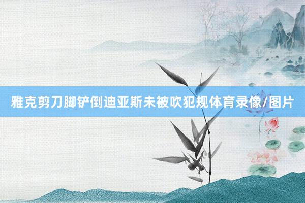 雅克剪刀脚铲倒迪亚斯未被吹犯规体育录像/图片