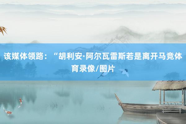该媒体领路：“胡利安·阿尔瓦雷斯若是离开马竞体育录像/图片