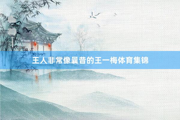 王人非常像曩昔的王一梅体育集锦