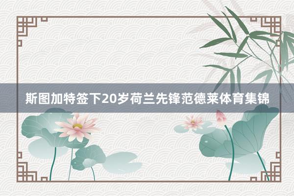 斯图加特签下20岁荷兰先锋范德莱体育集锦