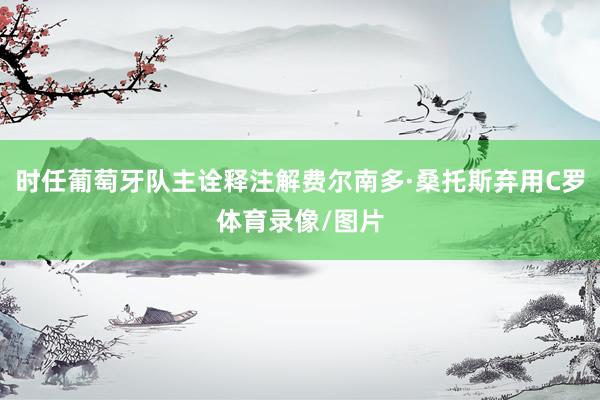 时任葡萄牙队主诠释注解费尔南多·桑托斯弃用C罗体育录像/图片