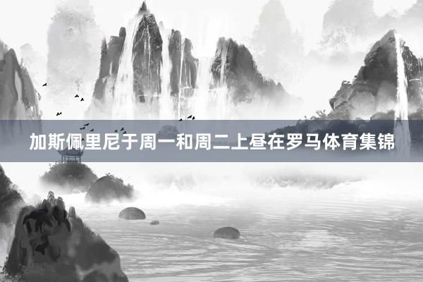 加斯佩里尼于周一和周二上昼在罗马体育集锦